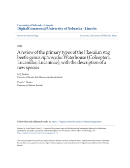 A Review of the Primary Types of the Hawaiian Stag Beetle Genus &lt;I