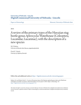 A Review of the Primary Types of the Hawaiian Stag Beetle Genus <I