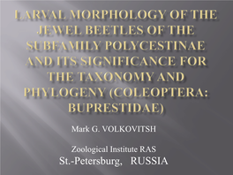 Larval Morphology of the Jewel Beetles of the Subfamily