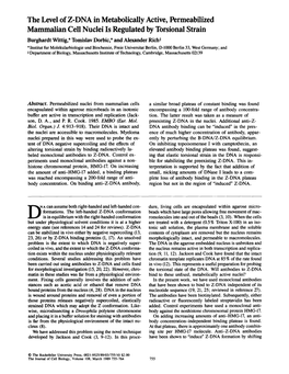 The Level of Z-DNA in Metabolically Active, Permeabilized Mammalian Cell Nuclei Is Regulated by Torsional Strain