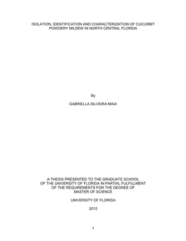 University of Florida Thesis Or Dissertation Formatting