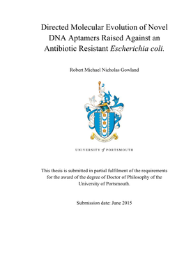 Directed Molecular Evolution of Novel DNA Aptamers Raised Against an Antibiotic Resistant Escherichia Coli