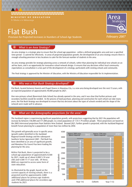 Flat Bush Area Strategy