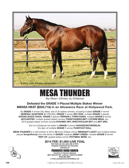 MESA THUNDER:Layout 1 12/2/13 9:04 AM Page 1