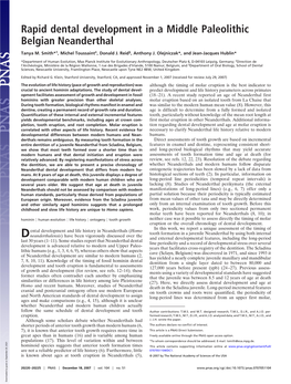 Rapid Dental Development in a Middle Paleolithic Belgian Neanderthal