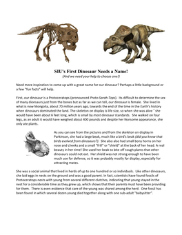 SIU Protoceratops