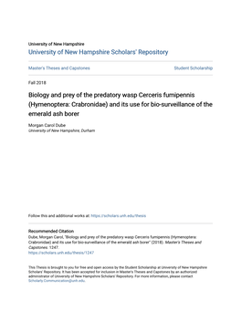 Hymenoptera: Crabronidae) and Its Use for Bio-Surveillance of the Emerald Ash Borer