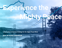 Experience the Mighty Peace