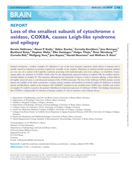 Loss of the Smallest Subunit of Cytochrome C Oxidase, COX8A, Causes Leigh-Like Syndrome and Epilepsy