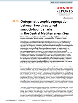 Ontogenetic Trophic Segregation Between Two Threatened Smooth