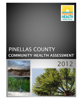 Pinellas County Community Health Assessment Report 2012