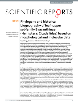 (Hemiptera: Cicadellidae) Based on Morphological and Molecular Data
