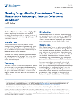 Pleasing Fungus Beetles,Pseudischyrus, Tritoma, Megalodacne, Ischyrusspp