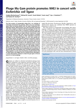 Phage Mu Gam Protein Promotes NHEJ in Concert with Escherichia Coli Ligase