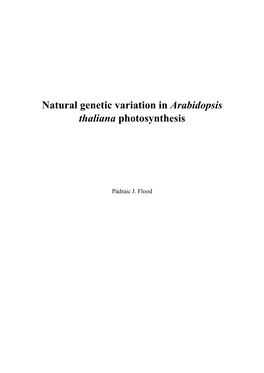 Natural Genetic Variation in Arabidopsis Thaliana Photosynthesis