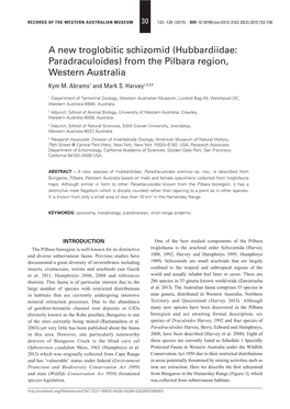 A New Troglobitic Schizomid (Hubbardiidae: Paradraculoides) from the Pilbara Region, Western Australia Kym M