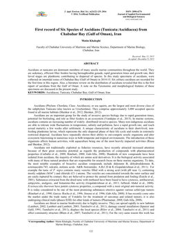 Tunicata:Ascidiacea) from Chabahar Bay (Gulf of Oman), Iran