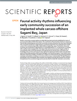 Faunal Activity Rhythms Influencing Early Community Succession of An