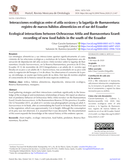 Interacciones Ecológicas Entre El Atila Ocráceo Y La Lagartija De Buenaventura: Registro De Nuevos Hábitos Alimenticios En El Sur Del Ecuador