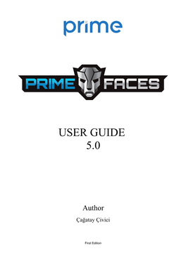 User Guide 5.0