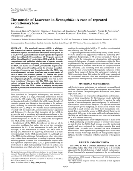 The Muscle of Lawrence in Drosophila: a Case of Repeated Evolutionary Loss (Phylogeny)