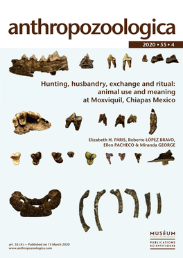 Animal Use and Meaning at Moxviquil, Chiapas Mexico