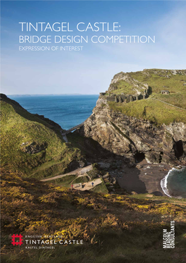 TINTAGEL CASTLE: BRIDGE DESIGN COMPETITION EXPRESSION of INTEREST Tintagel Castle: Bridge Design Competition // EOI // Part One