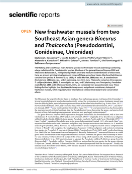 New Freshwater Mussels from Two Southeast Asian Genera Bineurus and Thaiconcha (Pseudodontini, Gonideinae, Unionidae) Ekaterina S
