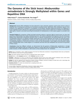 The Genome of the Stick Insect Medauroidea Extradentata Is Strongly Methylated Within Genes and Repetitive DNA