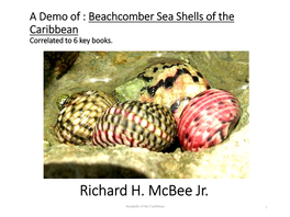 A Demo of : Beachcomber Sea Shells of the Caribbean Correlated to 6 Key Books