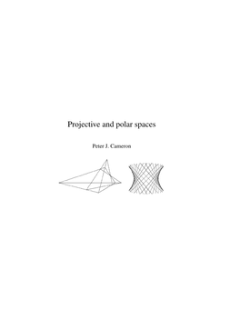 Projective and Polar Spaces