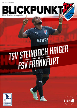 Tsv Steinbach Haiger Fsv Frankfurt