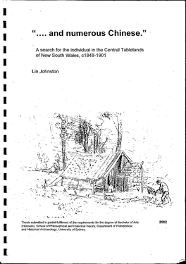 And Numerous Chinese." I a Search for the Individual in the Central Tablelands of New South Wales, C1848-1901 I I Un Johnston I I I