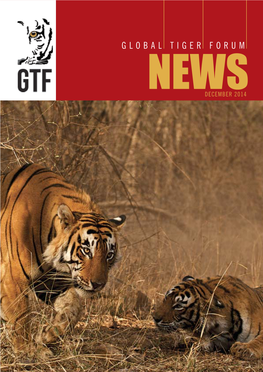 Newsdecember 2014 Gtf Is Now on Twitter & Facebook - Follow Us