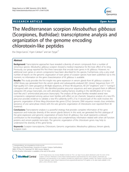 The Mediterranean Scorpion Mesobuthus Gibbosus (Scorpiones