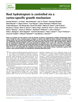 Root Hydrotropism Is Controlled Via a Cortex-Specific Growth Mechanism