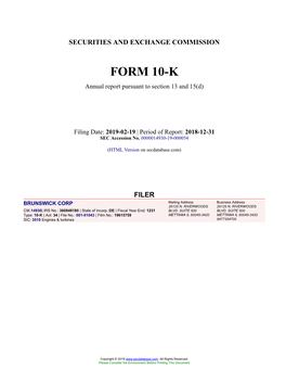 BRUNSWICK CORP Form 10-K Annual Report Filed 2019-02-19