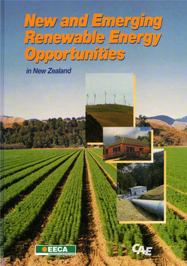 New and Emerging Renewable Energy Opportunities in New Zealand