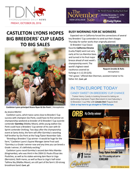 Castleton Lyons Hopes Big Breeders= Cup Leads to Big Sales