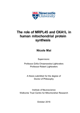 The Role of MRPL45 and OXA1L in Human Mitochondrial Protein Synthesis