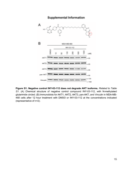 AKT Degrader Manuscript Final 1 CCB