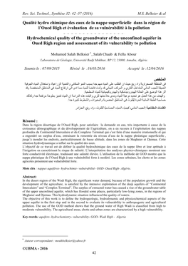 Qualité Hydro Chimique Des Eaux De La Nappe Superficielle Dans La Région De L’Oued Righ Et Évaluation De Sa Vulnérabilité À La Pollution