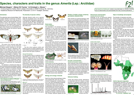 Species, Characters and Traits in the Genus Amerila (Lep.: Arctiidae)