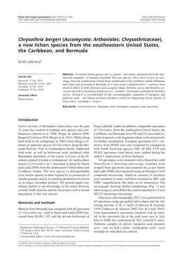 A New Lichen Species from the Southeastern United States, the Caribbean, and Bermuda