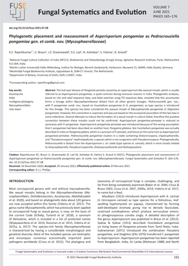 Phylogenetic Placement and Reassessment of Asperisporium Pongamiae As Pedrocrousiella Pongamiae Gen. Et Comb. Nov. (Mycosphaerellaceae)