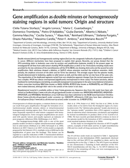 Gene Amplification As Double Minutes Or Homogeneously Staining Regions in Solid Tumors: Origin and Structure