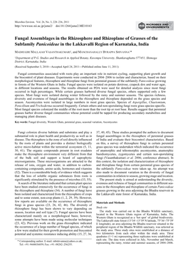 Fungal Assemblages in the Rhizosphere and Rhizoplane of Grasses of the Subfamily Panicoideae in the Lakkavalli Region of Karnataka, India