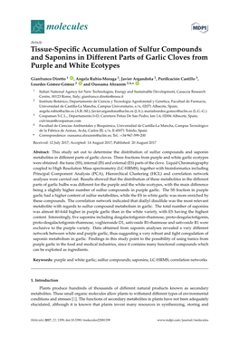 Tissue-Specific Accumulation of Sulfur Compounds and Saponins In