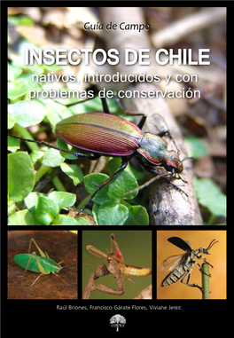 Insectos De Chile Nativos, Introducidos Y Con Problemas De Conservación, Guía De Campo