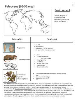 Filled in Fossil Guide